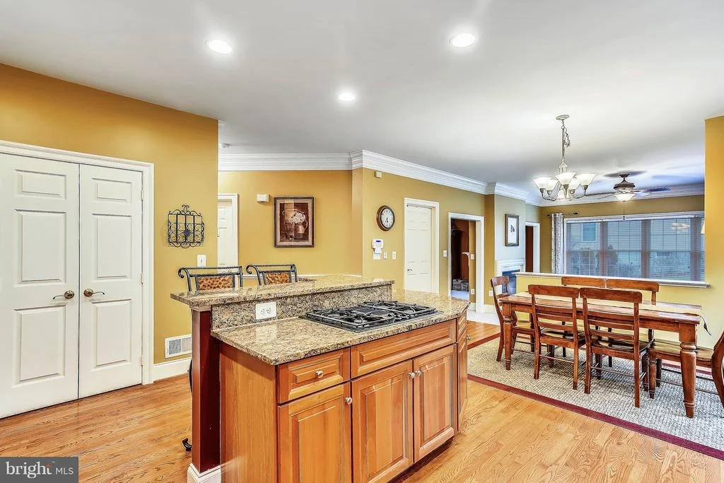 Photo of 42641 COCHRANS LOCK DRIVE