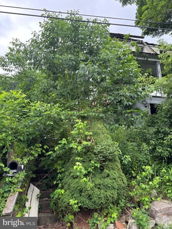 Photo of 13 DUDLEY STREET