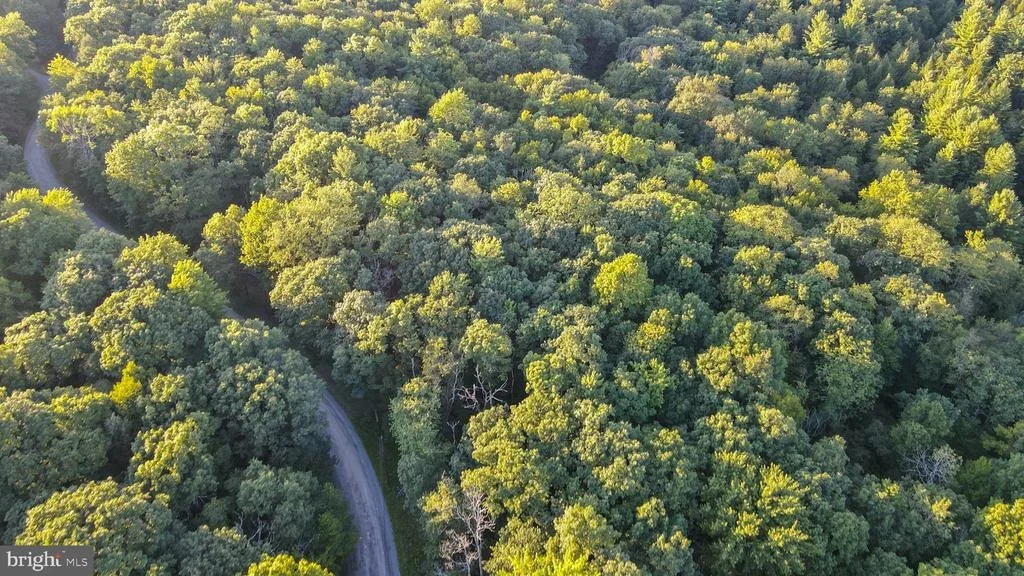 Photo of Lot 8 STOOL ROCK ROAD