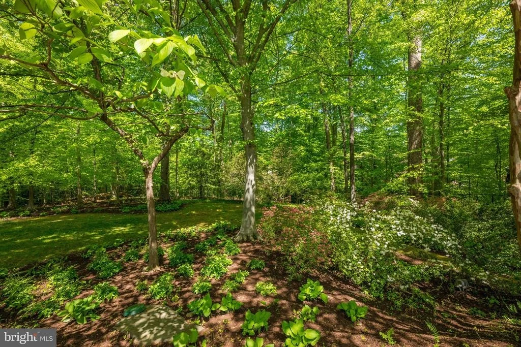 Photo of 7019 ARMAT DRIVE