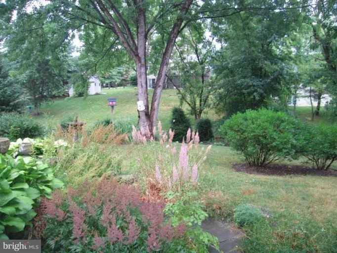 Photo of 10421 SWEEPSTAKES ROAD