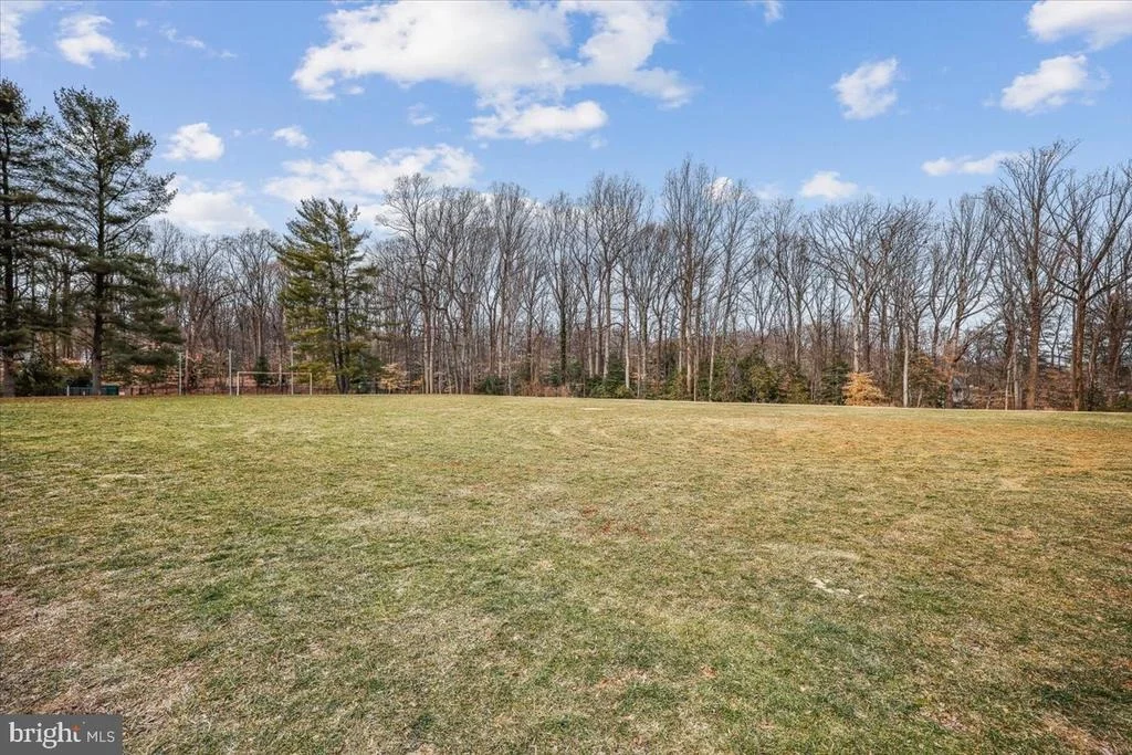 Photo of 8607 WILD OLIVE DRIVE