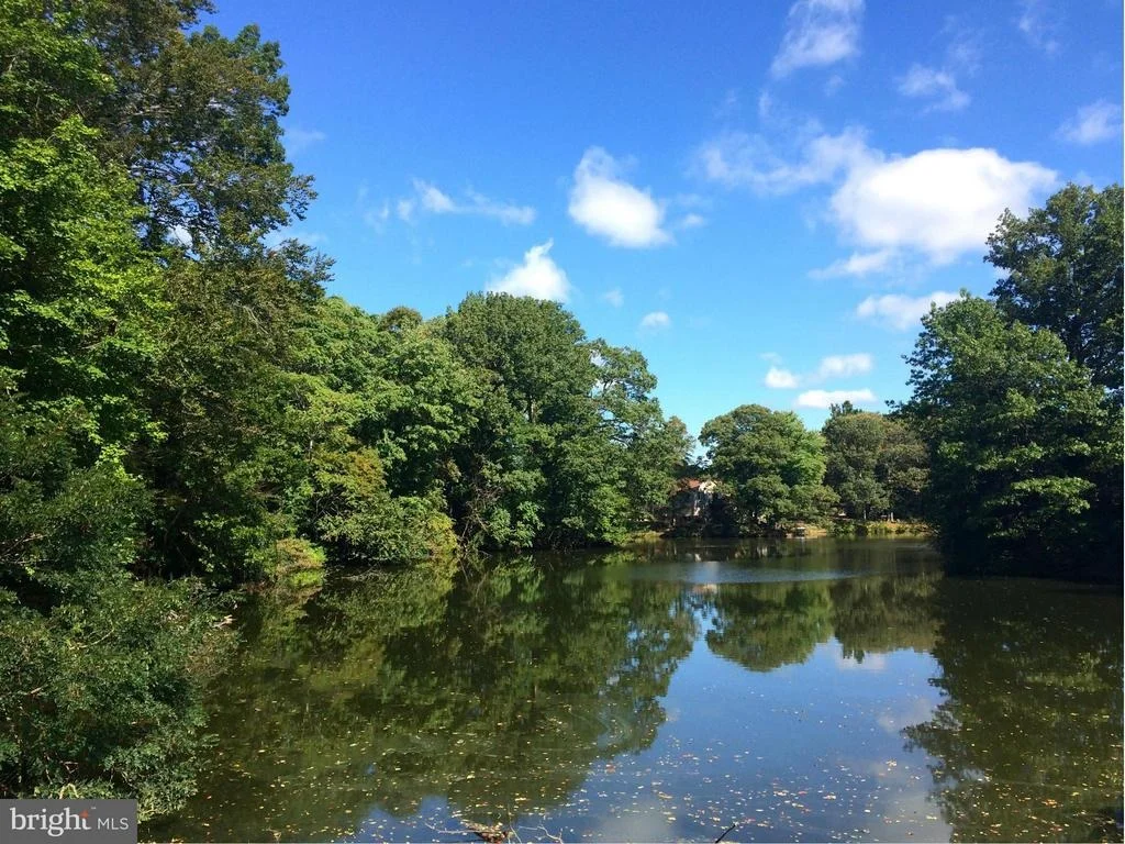Photo of 11801 RIVERSHORE DRIVE