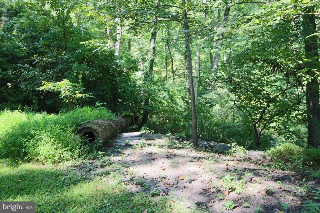 Photo of 220 LEITCH ROAD