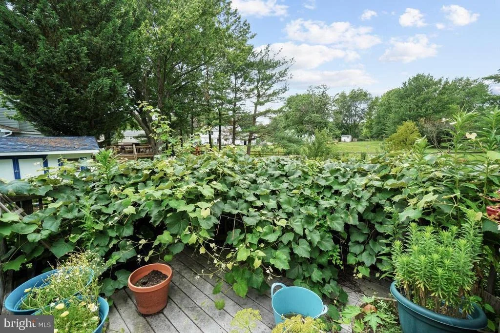 Photo of 7090 JASPER DRIVE