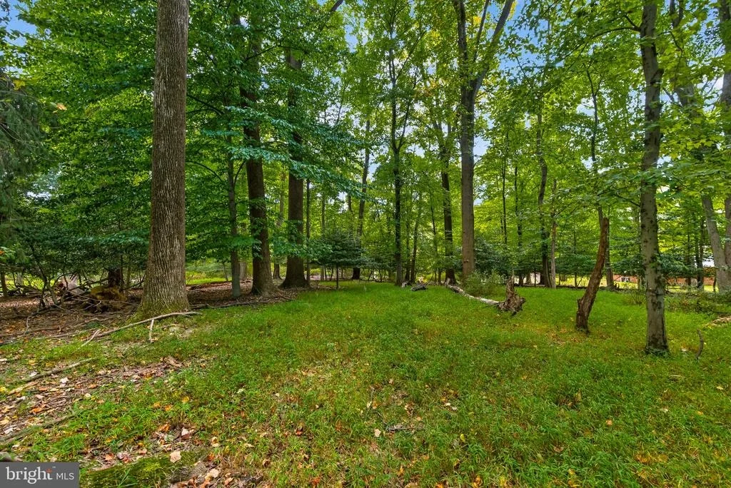 Photo of 13904 OVERTON LANE