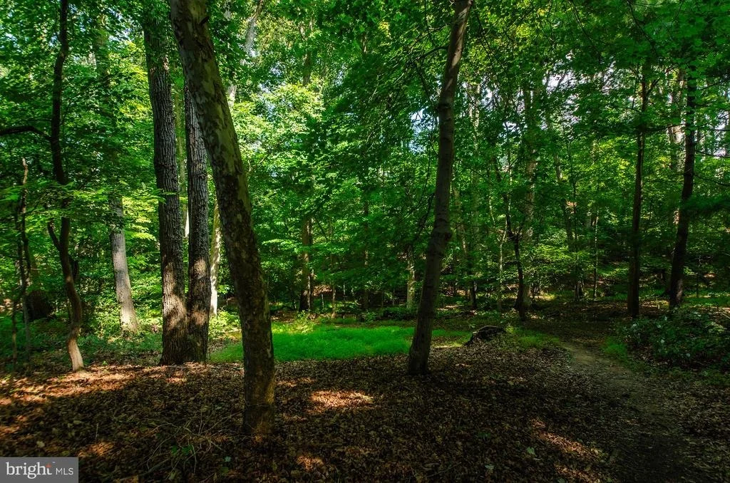 Photo of 1430 WOLFTRAP RUN ROAD