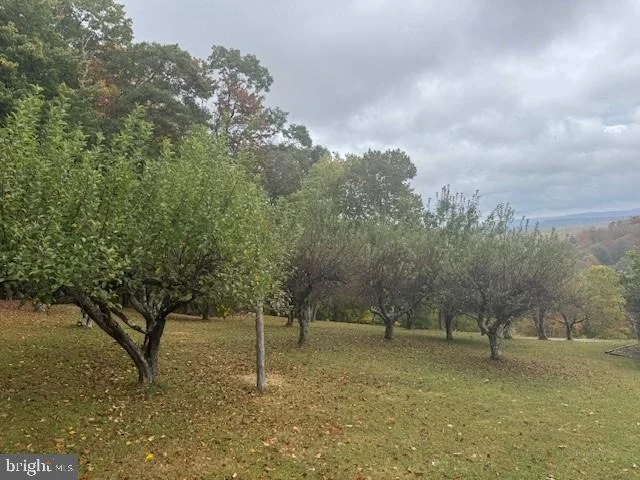 Photo of 11692 ADOLPH ROAD