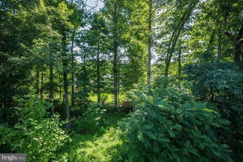 Photo of 14713 HARVEST LANE