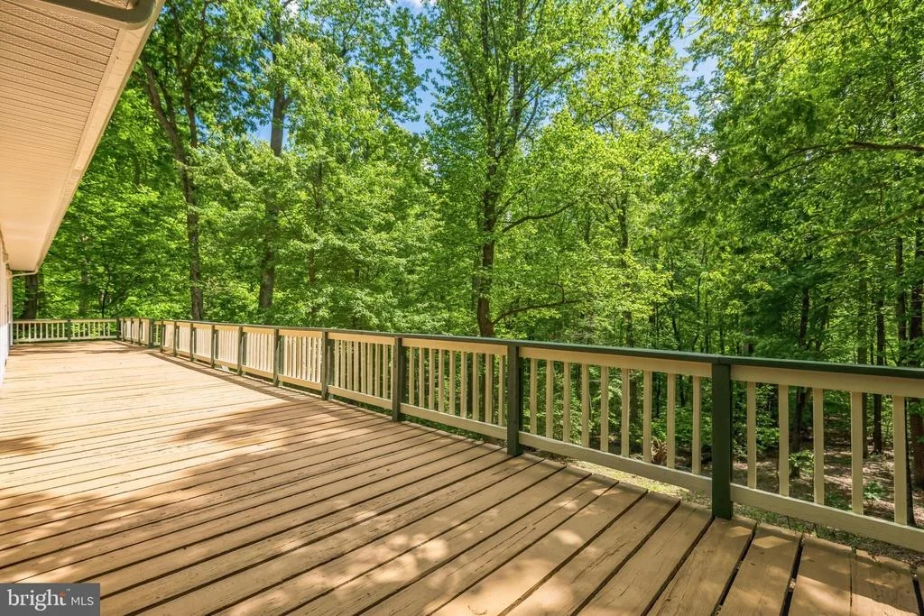 Photo of 11425 MILL BRIDGE ROAD