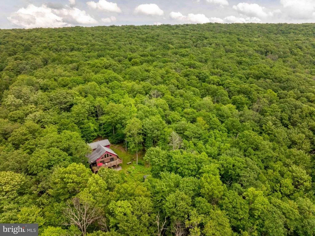 Photo of 995 BETTS LANE