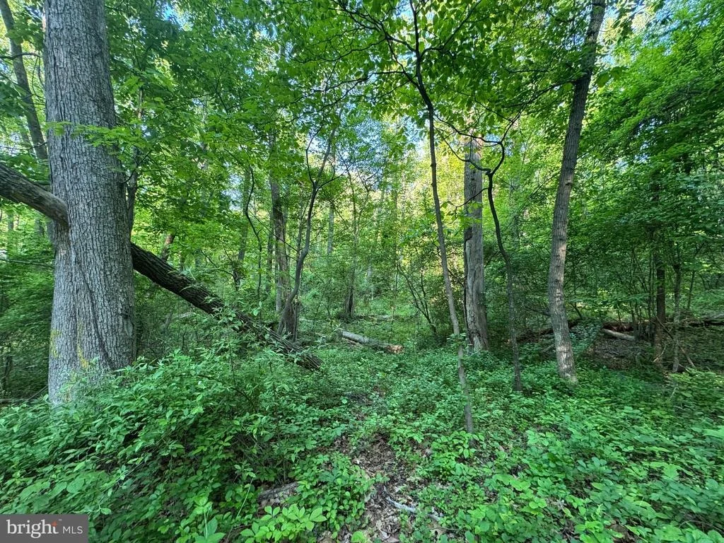 Photo of EDGEMONT ROAD