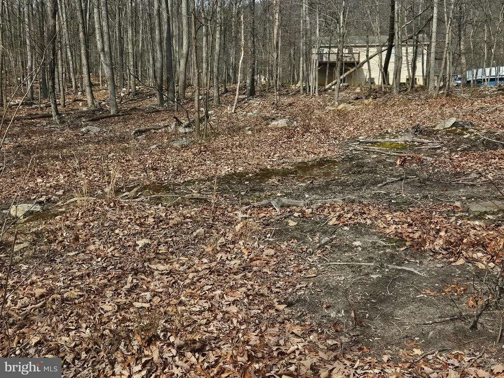 Photo of 825 PANTHER DRIVE