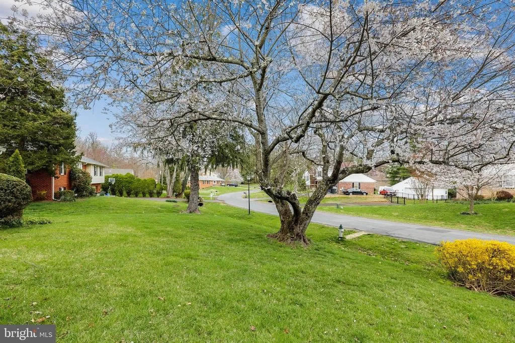 Photo of 3913 QUEEN MARY DRIVE