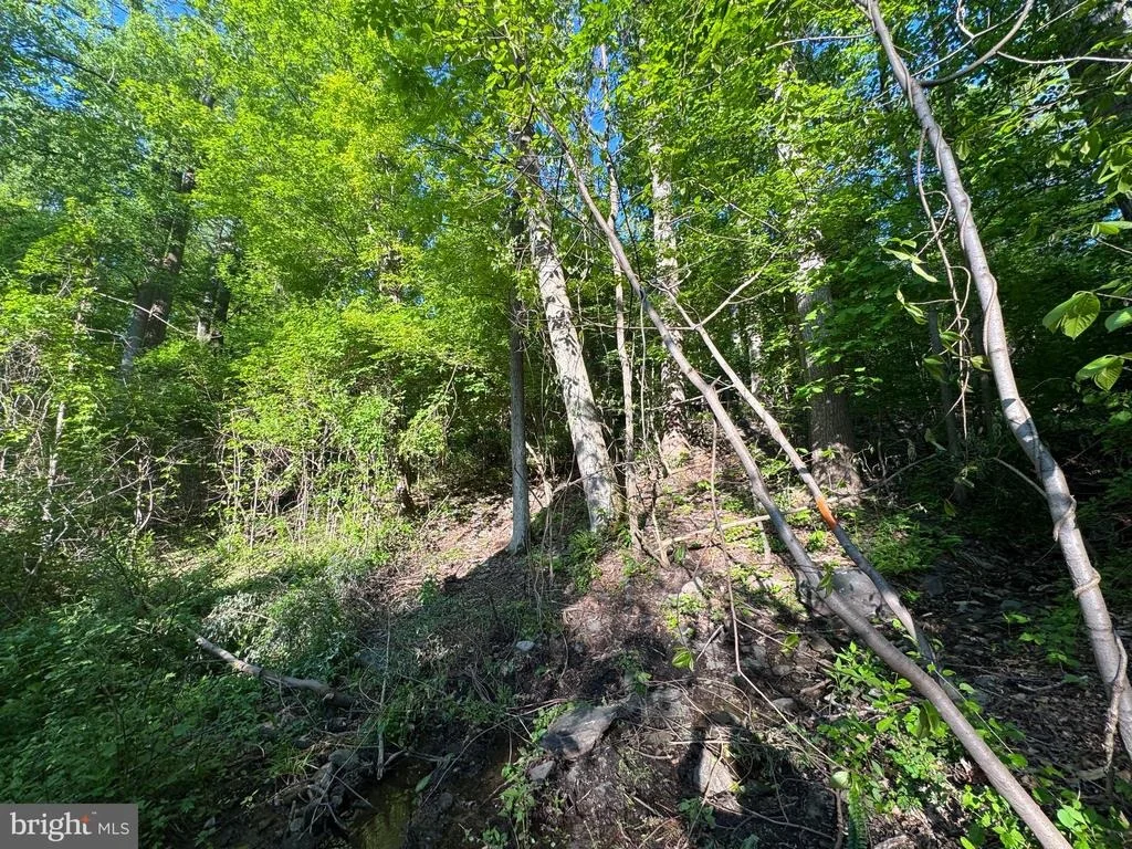 Photo of EDGEMONT ROAD
