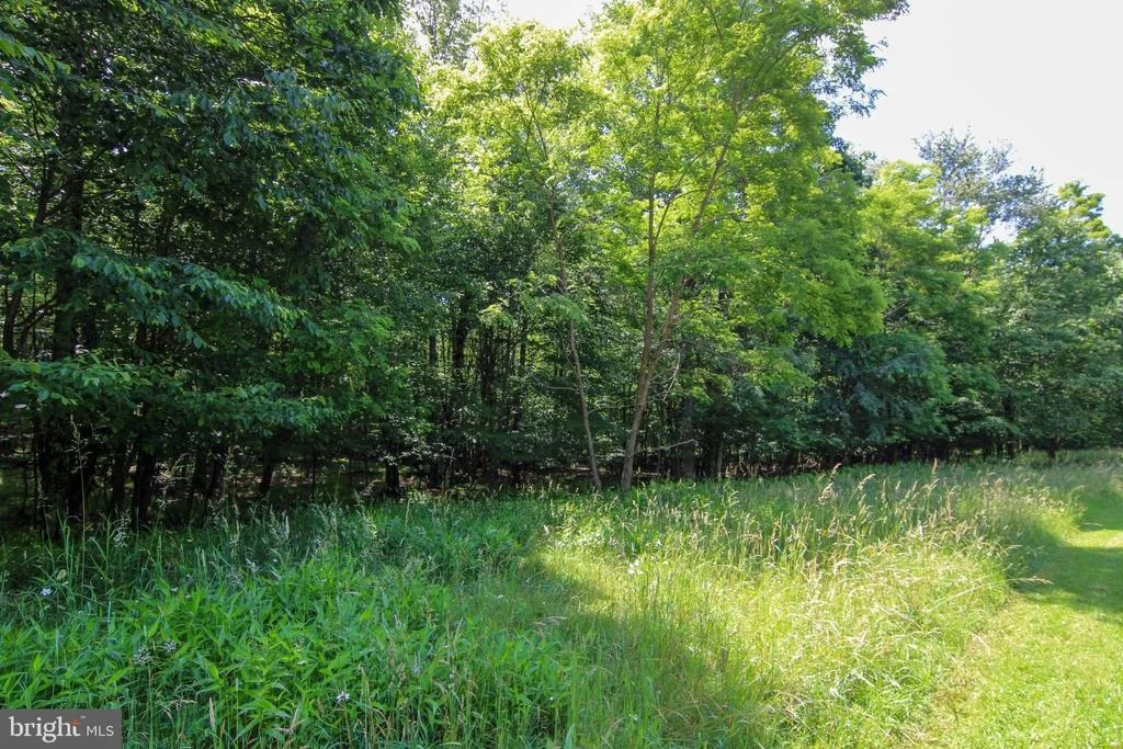 Photo of 80 SUNDANCE WAY