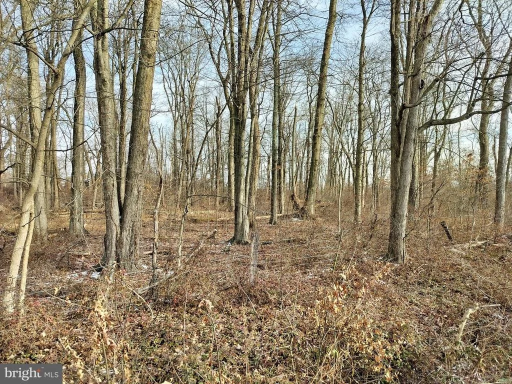 Photo of 147 ROCKTOWN ROAD