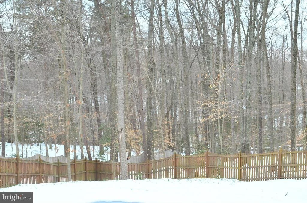 Photo of 12437 SILENT WOLF DRIVE