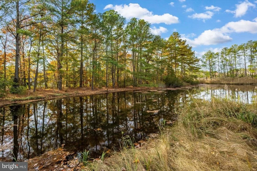 Photo of 101 MUMFORDS LANDING ROAD
