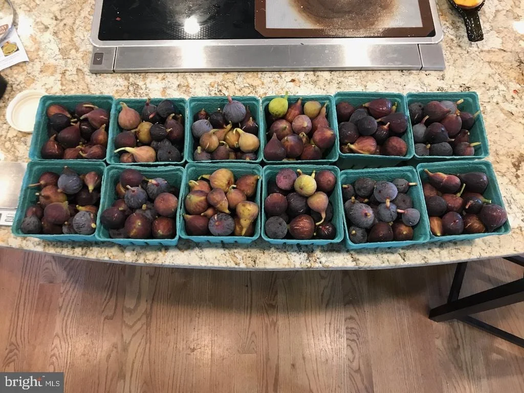Photo of 21030 PEACH TREE ROAD