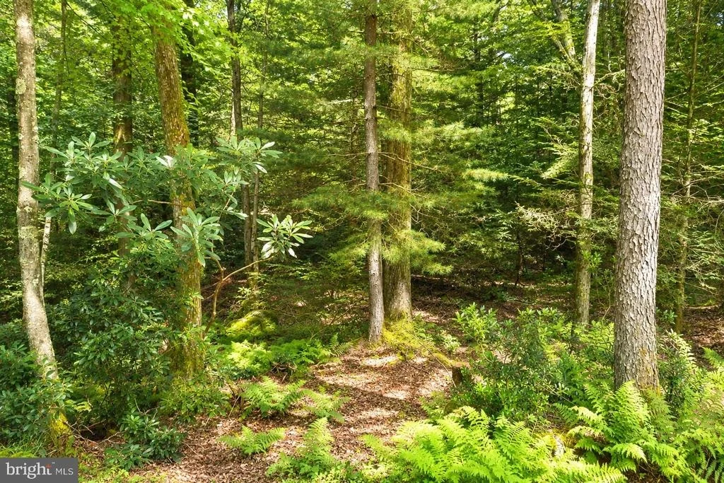 Photo of 632 LIMPOPO LANE