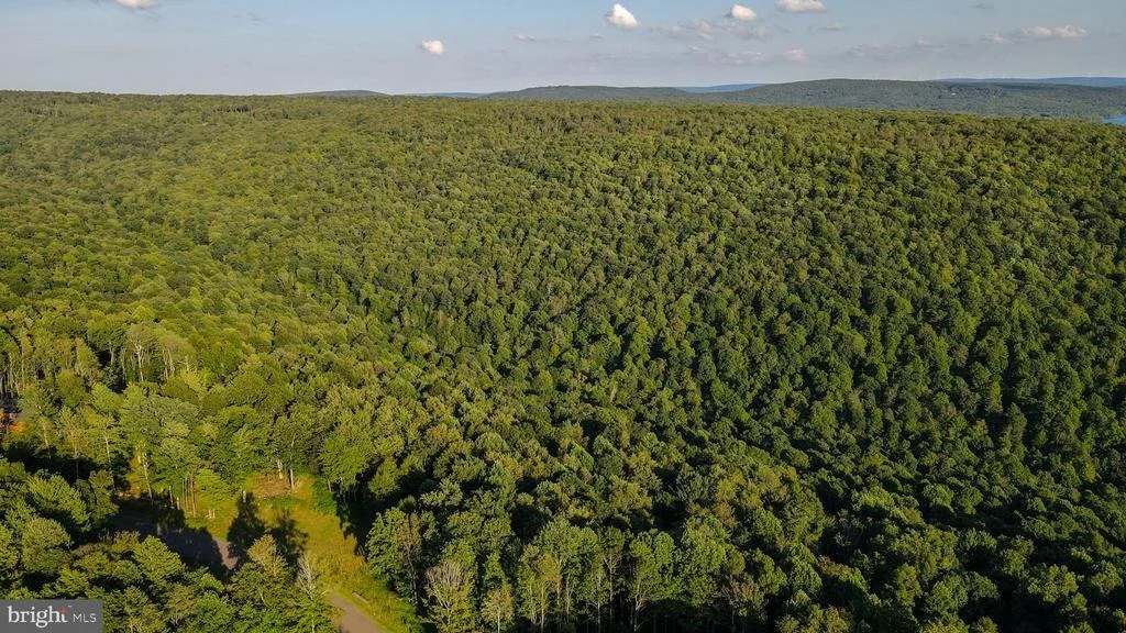 Photo of Lot 168 FORK RUN TRAIL