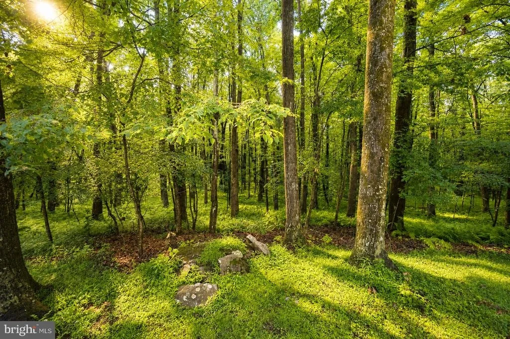 Photo of 1951 MOSSER ROAD