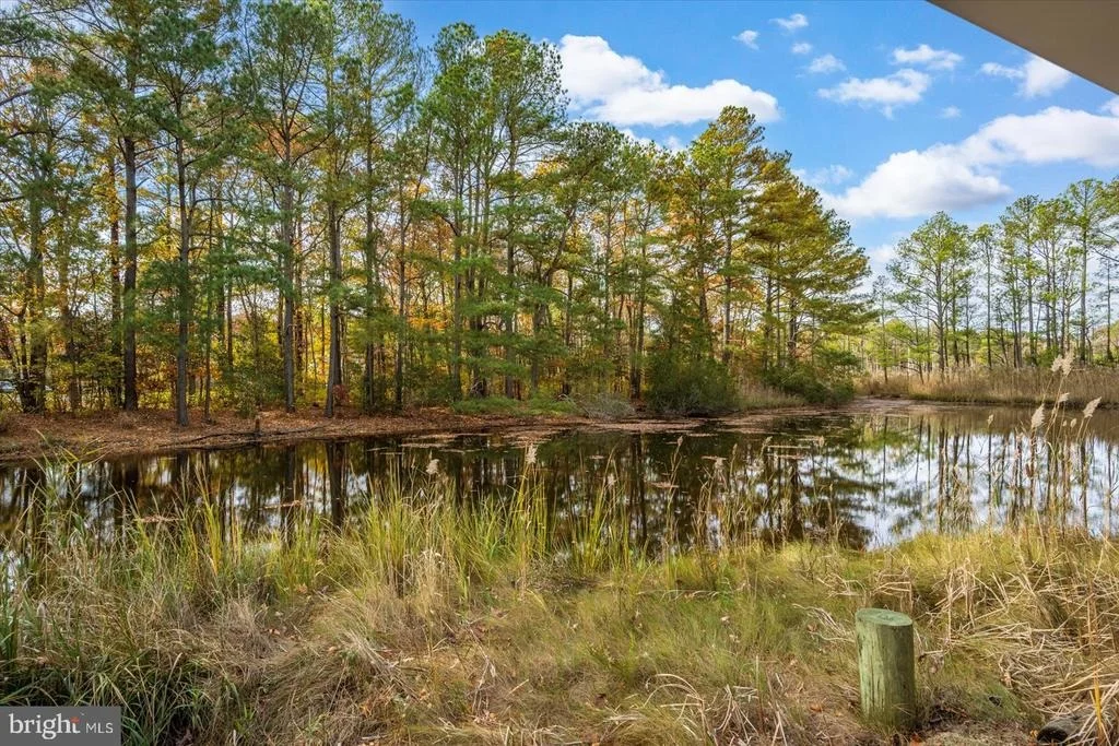 Photo of 101 MUMFORDS LANDING ROAD