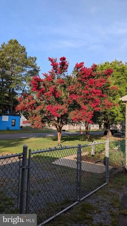 Photo of 103 HONEYSUCKLE DRIVE