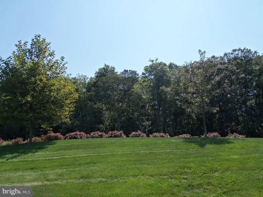 Photo of 36130 VIREO CIRCLE