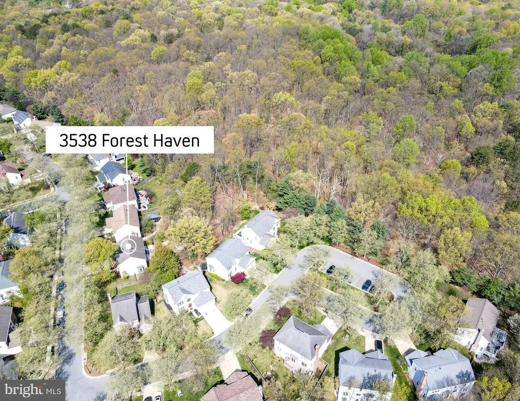 Photo of 3538 FOREST HAVEN DRIVE