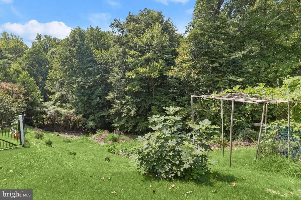 Photo of 6354 FOREST AVENUE