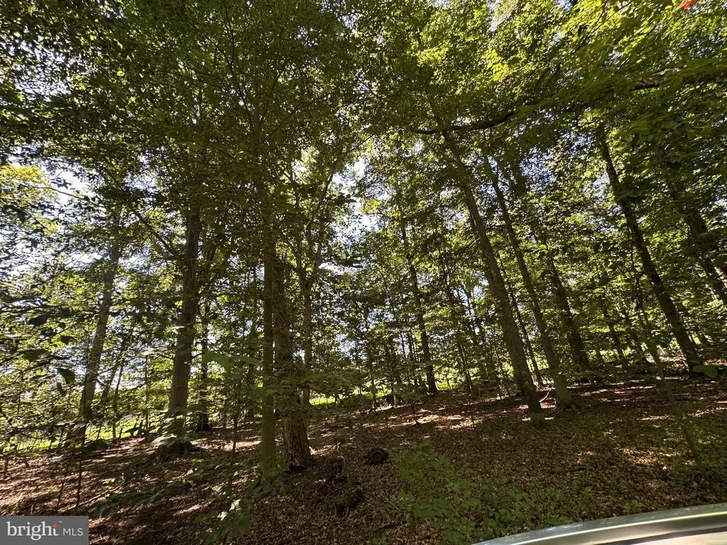 Photo of 2014 MOUNT EPHRAIM ROAD