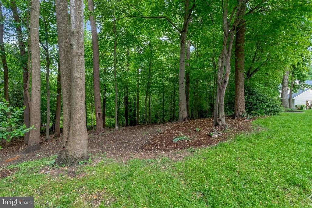 Photo of 9241 NORTHEDGE DRIVE
