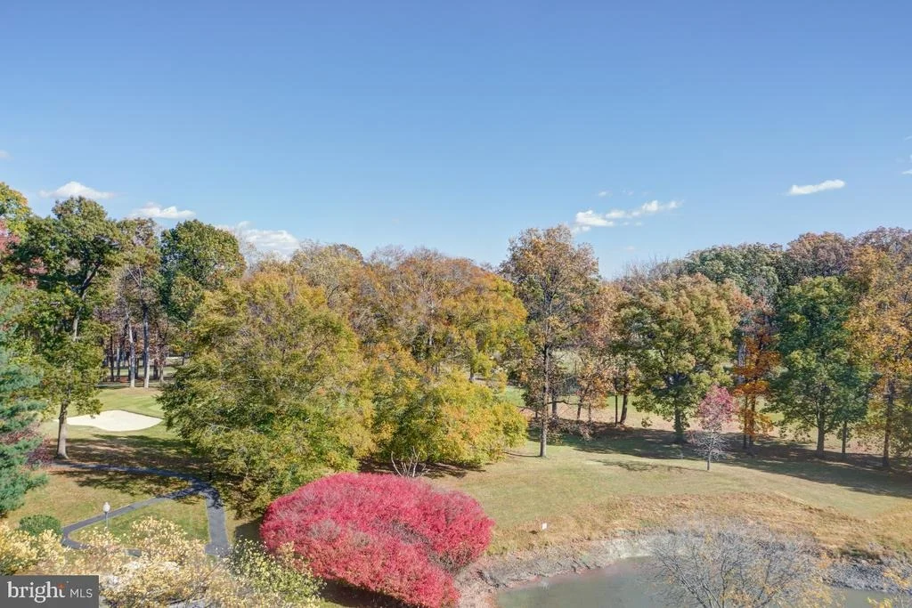 Photo of Unit 1625 at 15101 INTERLACHEN DRIVE