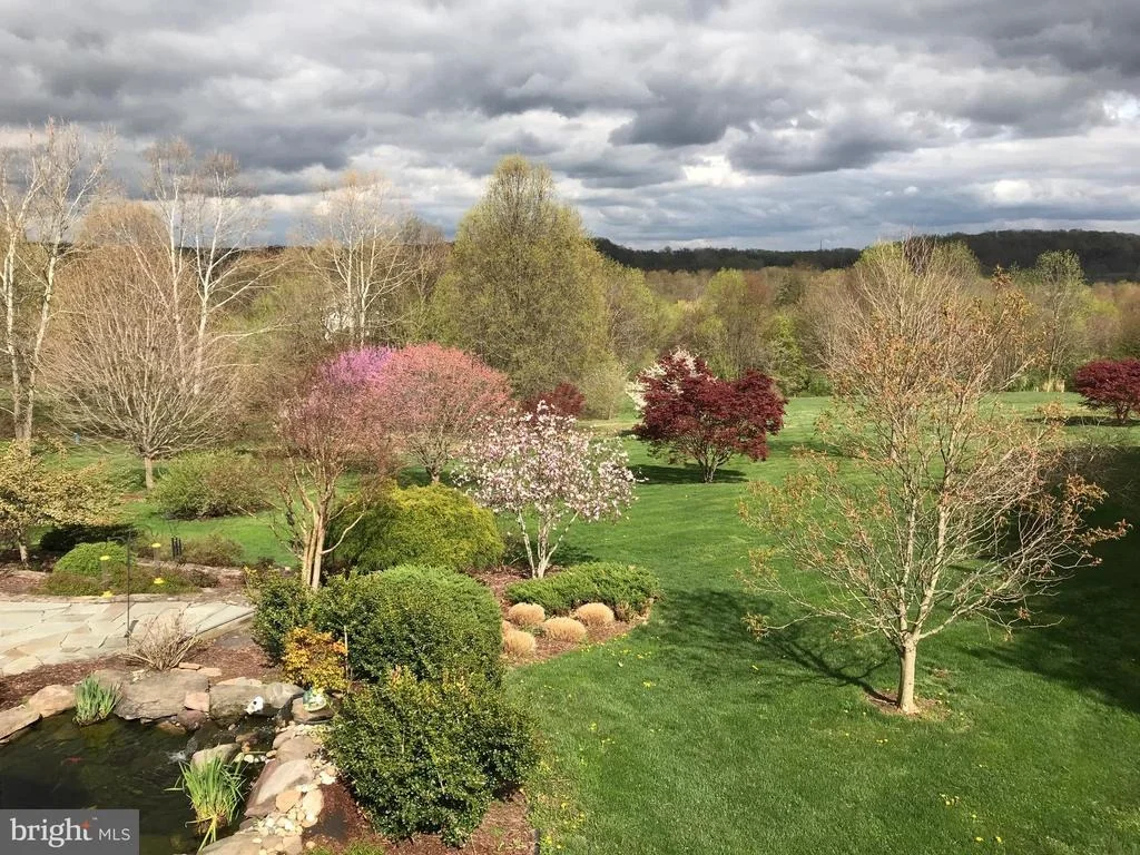 Photo of 20617 TOP RIDGE DRIVE
