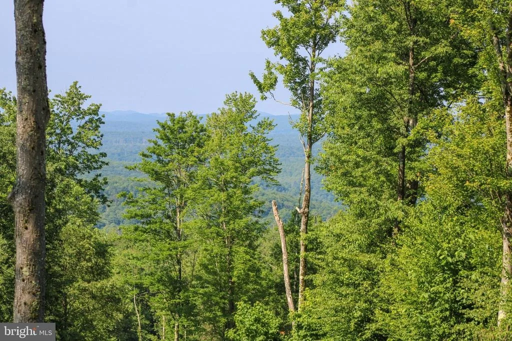 Photo of 117 CAMPFIRE DRIVE