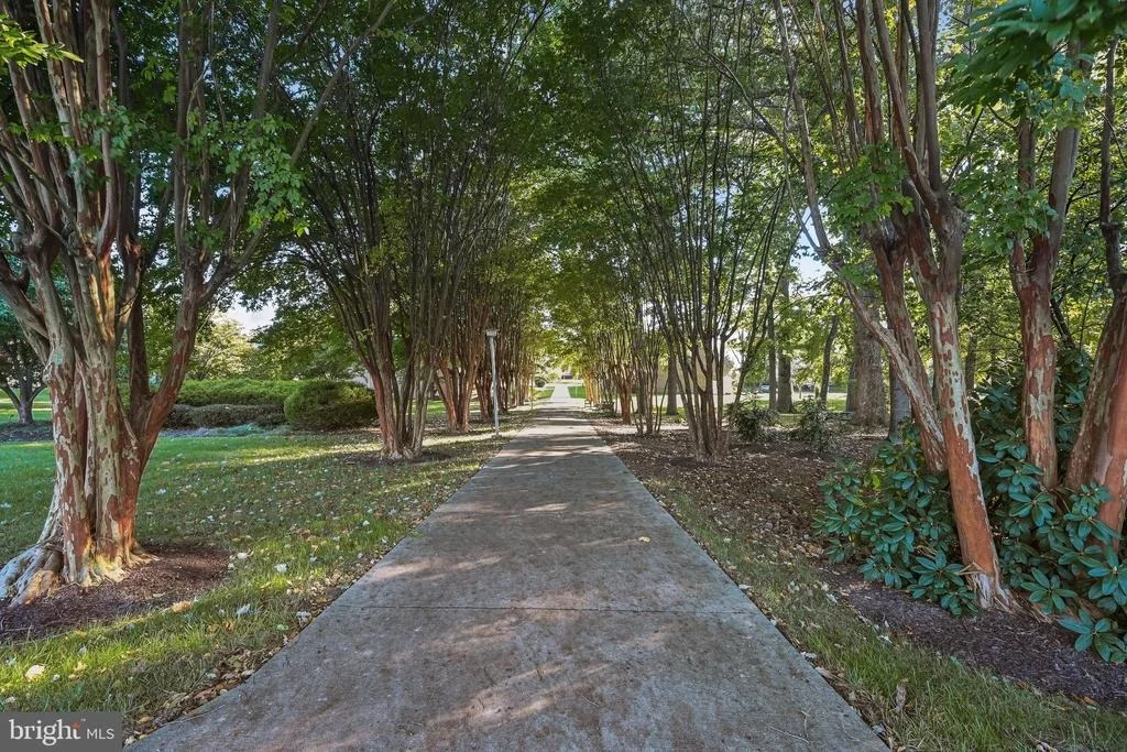 Photo of Unit 1618 at 15101 INTERLACHEN DRIVE