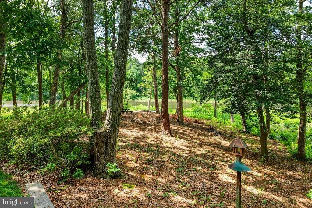 Photo of 6 BLUE HERON DRIVE