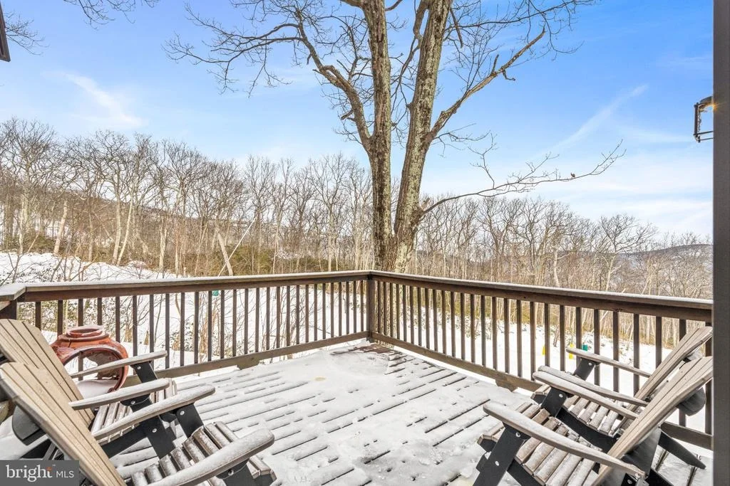 Photo of 142 SQUIRREL TREE LANE
