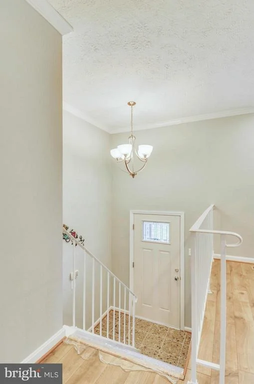 Photo of 1208 ABEL AVENUE