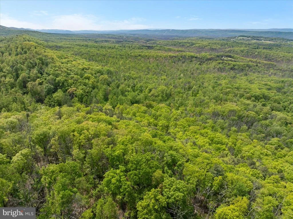 Photo of 551 SAWLOG