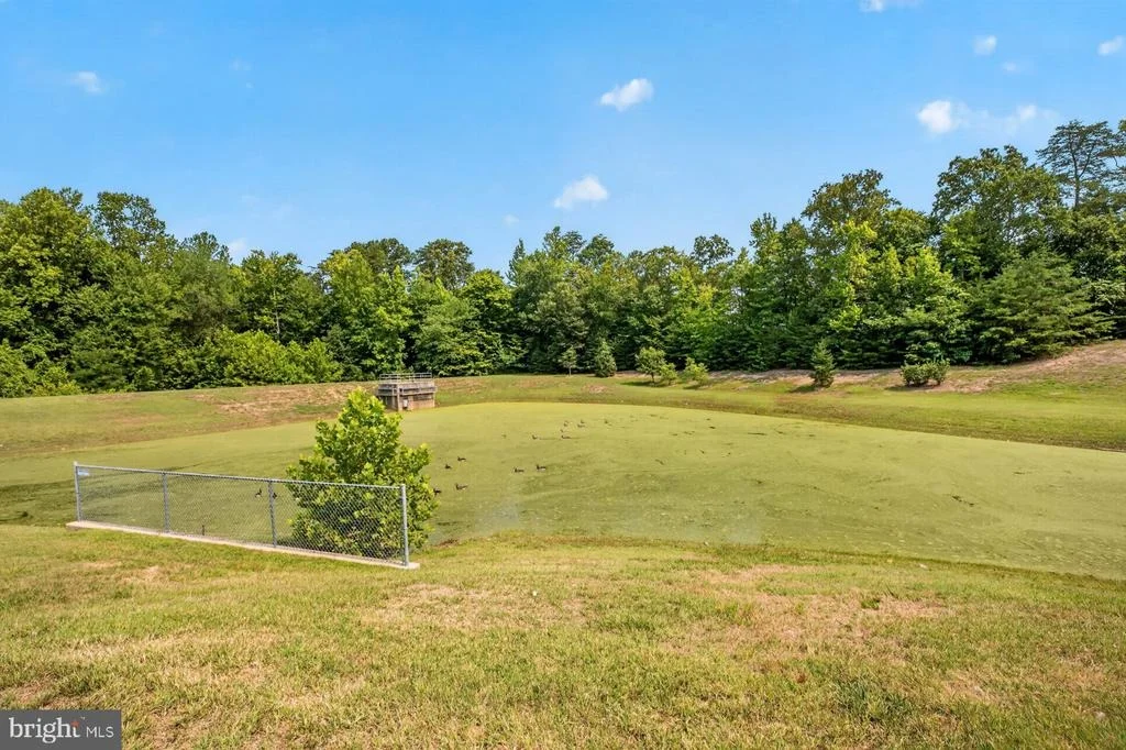 Photo of 6400 BARROW HOUSE DRIVE