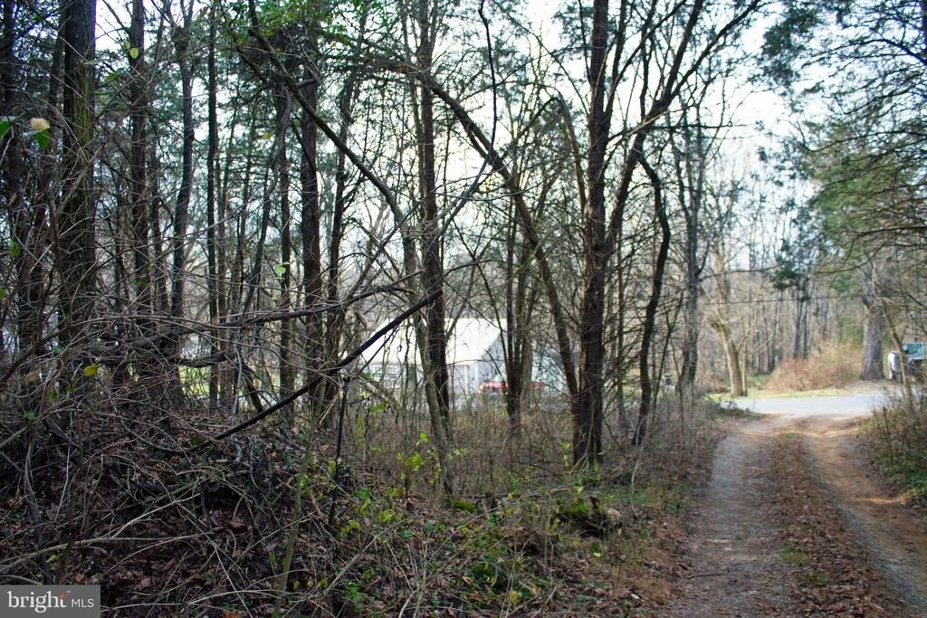 Photo of 8045 AVIS MILL ROAD