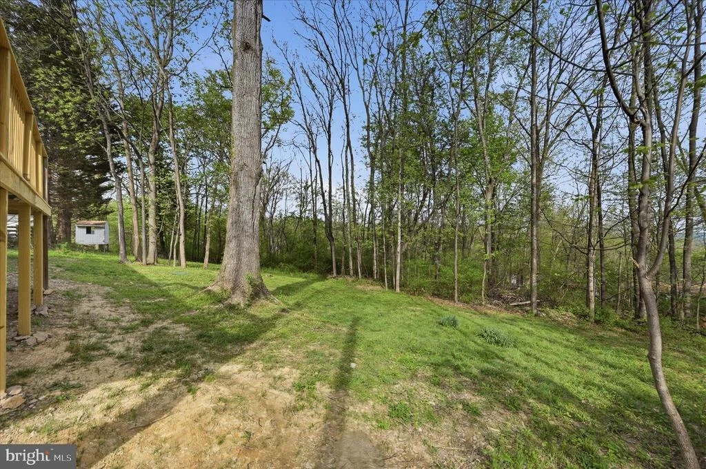 Photo of 105 BUCKSKIN TRAIL