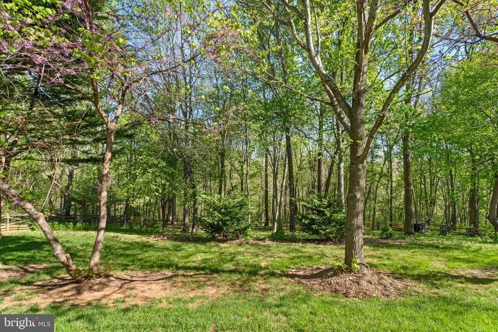 Photo of 9112 WHITMORE LANE