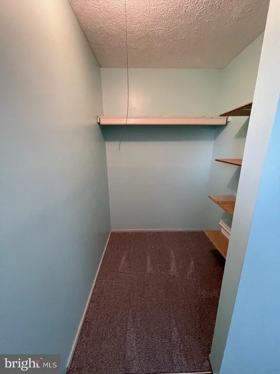Photo of 1341 BUTTERFLY LANE