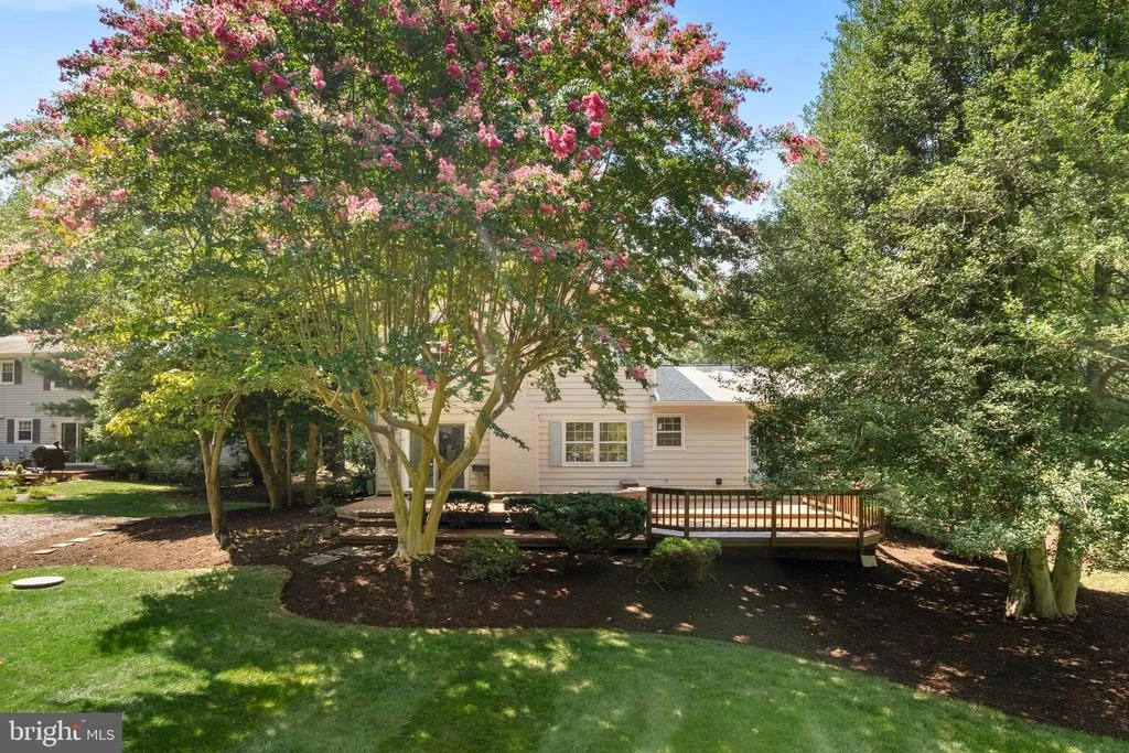 Photo of 3241 BETSY LANE