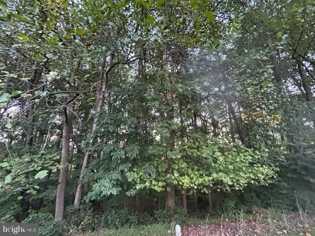 Photo of 13225 OSTERPORT DRIVE