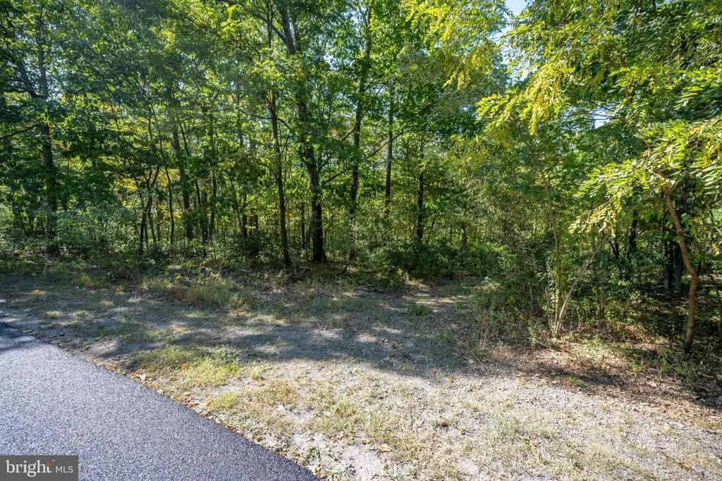 Photo of LOT 9 NORMAS WAY